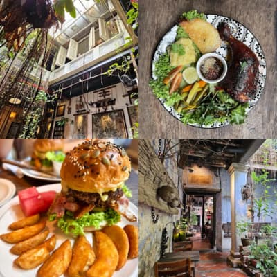 the baboon house dishes
